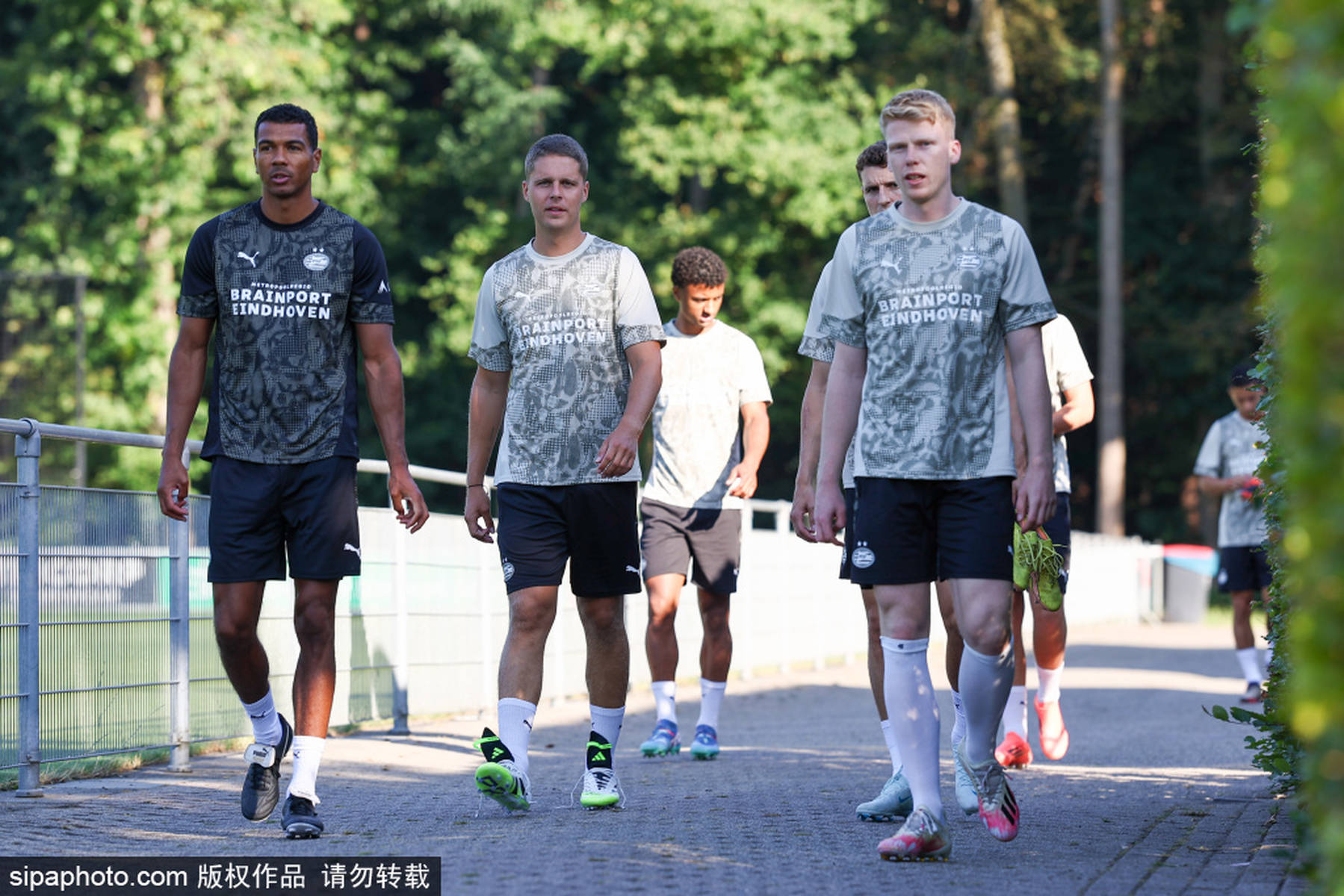 开云体育-布莱顿vs曼城前瞻