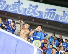 武汉三镇股改成功